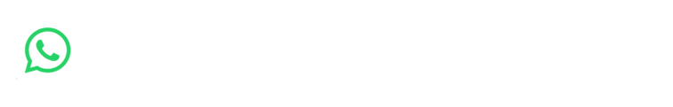 WhatsApp Solution Partner